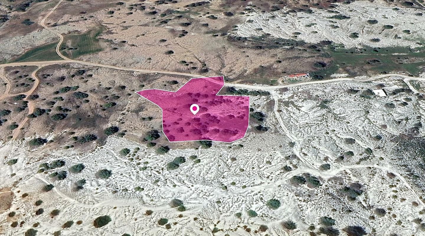 Special Protection Field in Kampia, Nicosia photo 3