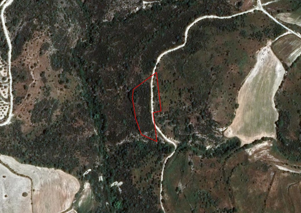 Field in Dora, Limassol photo 1