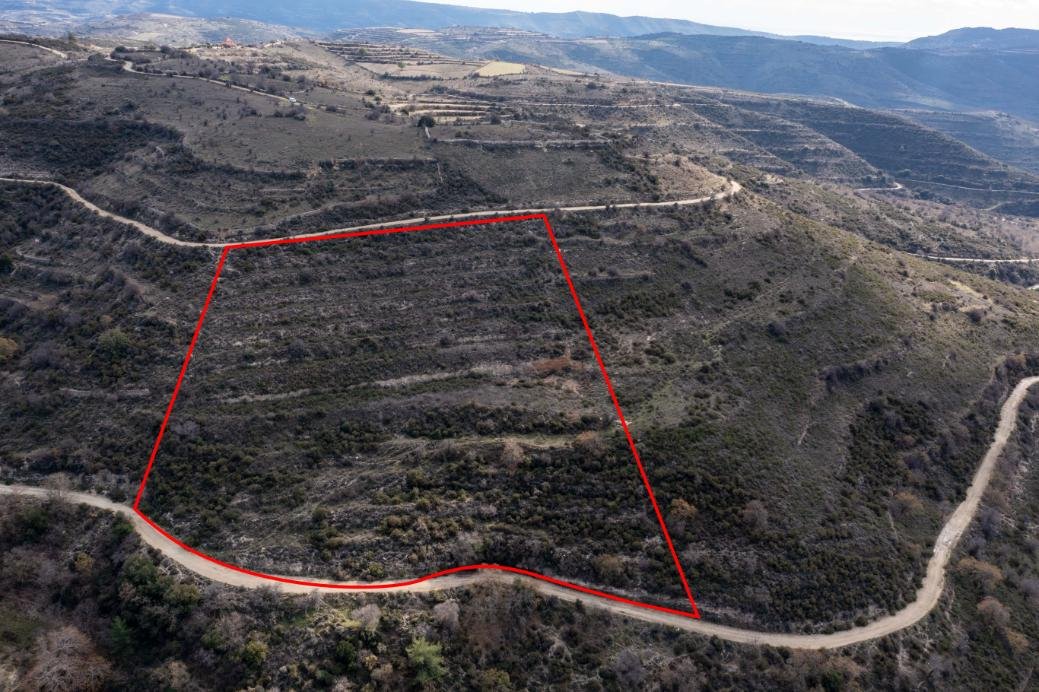 Field in Arsos, Limassol photo 1