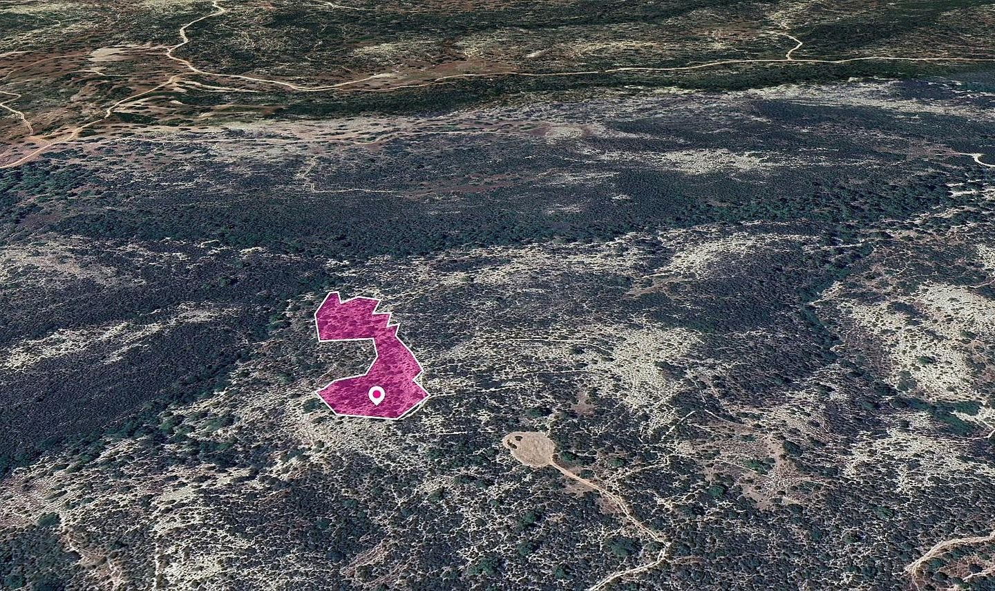 Field, Anogyra, Limassol photo 3