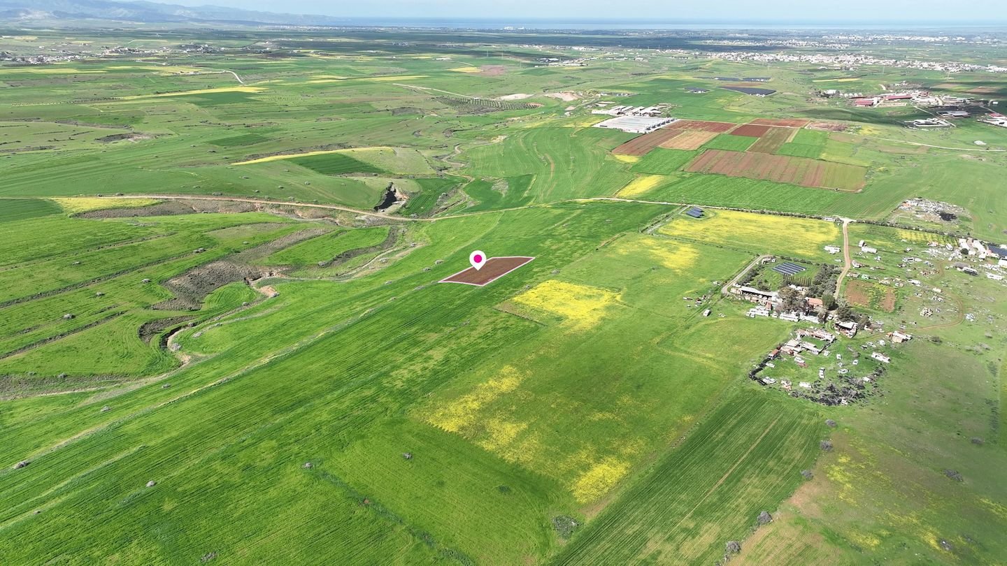 Livestock field in Peristerona, Nicosia photo 2