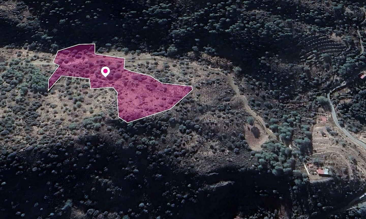 Field, Kaminaria, Limassol photo 3