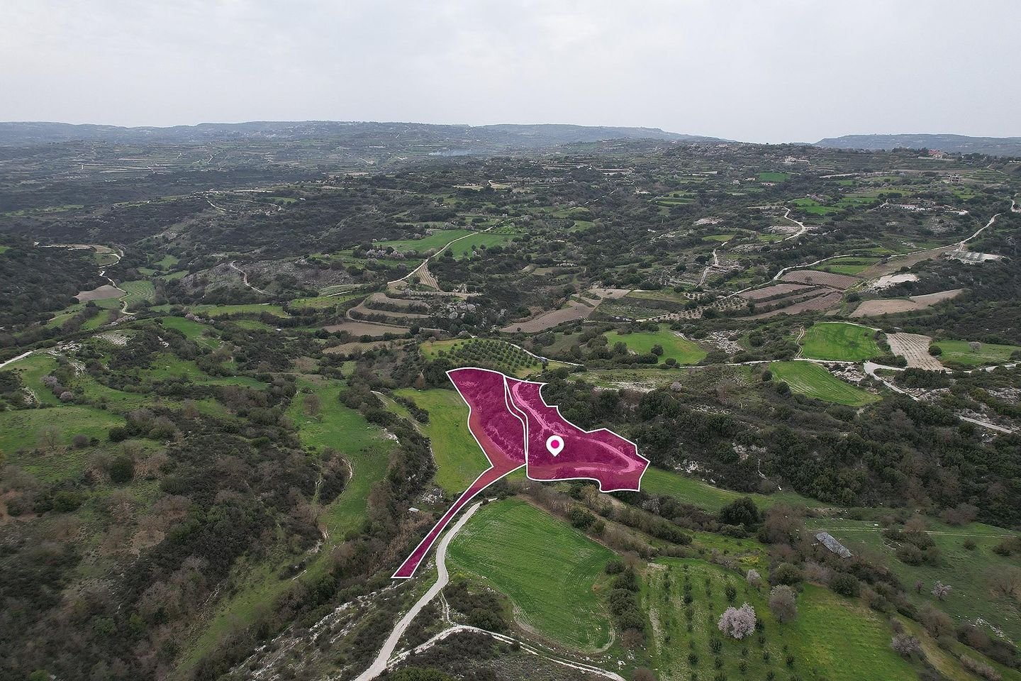 Three Agricultural fields, Psathi, Paphos photo 2