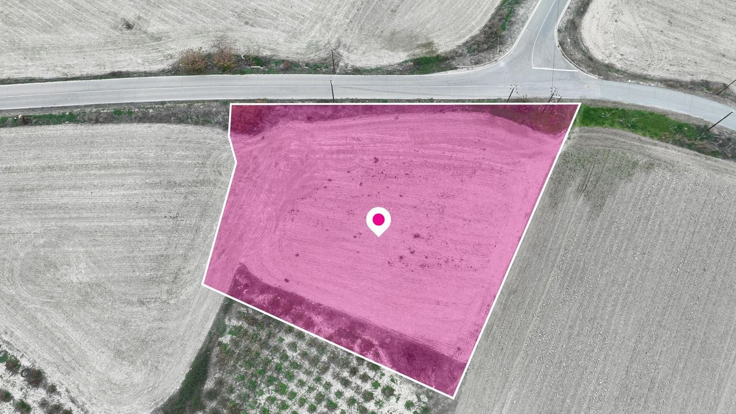 Residential field in Mazotos, Larnaca photo 13