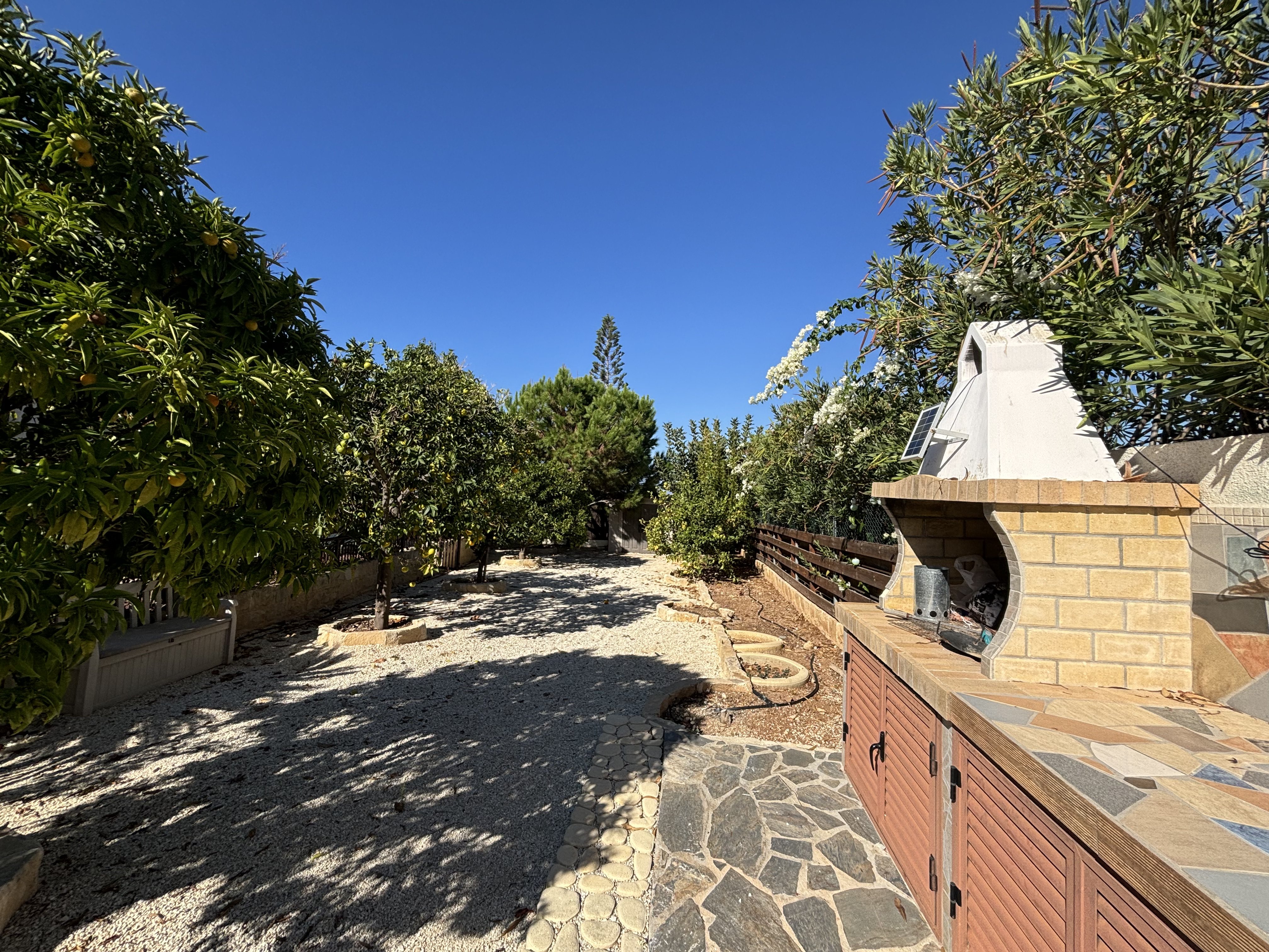 4 BR Villa in Kouklia, Paphos photo 26