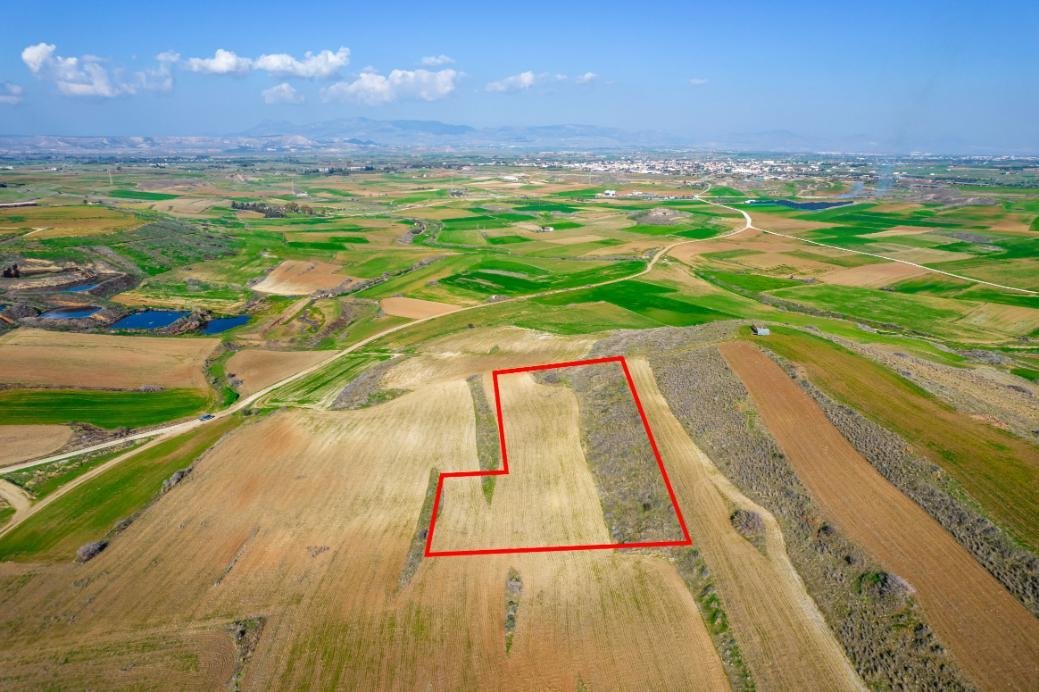 Field in Orounta, Nicosia photo 2