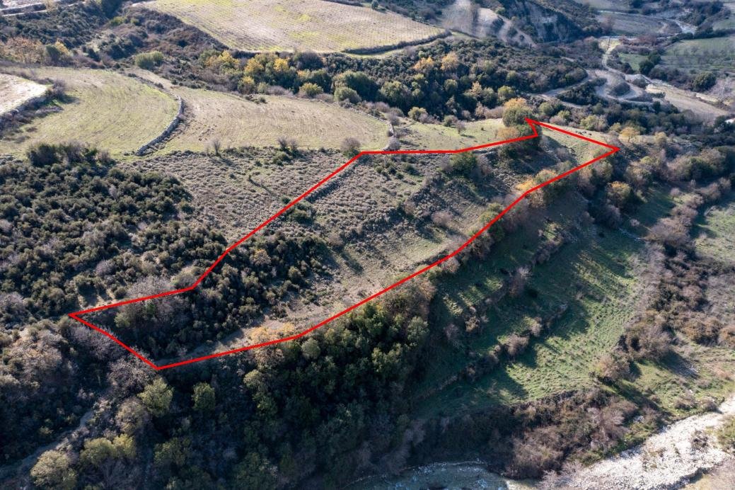 Field in Dora, Limassol photo 2