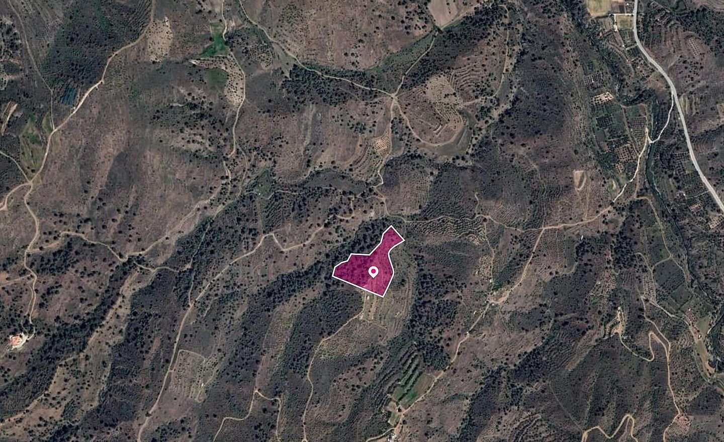 Agricultural field, Platanistasa photo 4