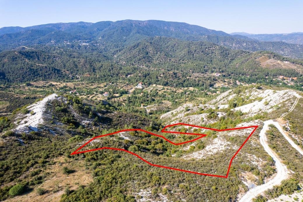 Agricultural field in Pera Pedi, Limassol photo 3