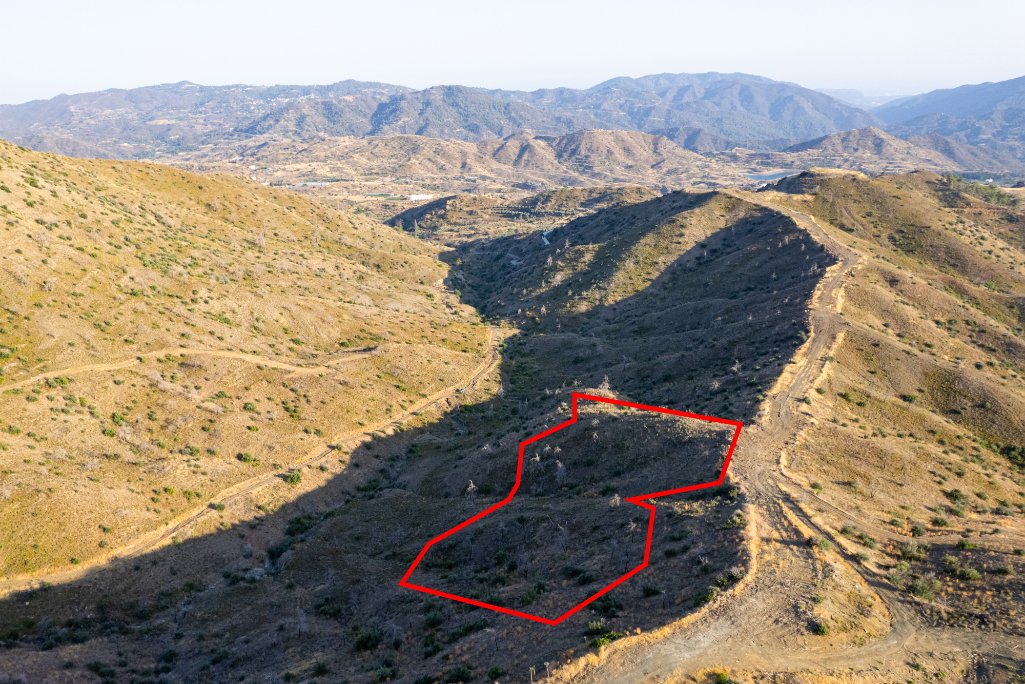 Field in Eptagoneia, Limassol photo 2