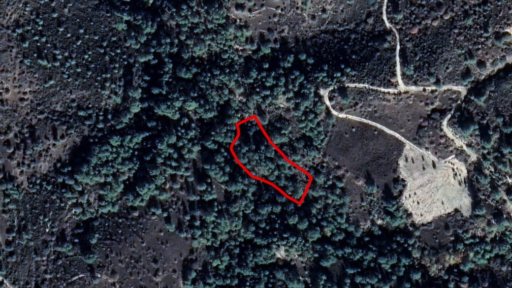 Field in Dora, Limassol photo 1