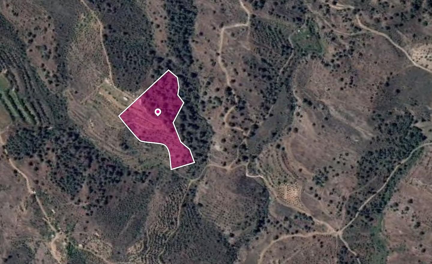 Agricultural field, Platanistasa photo 1