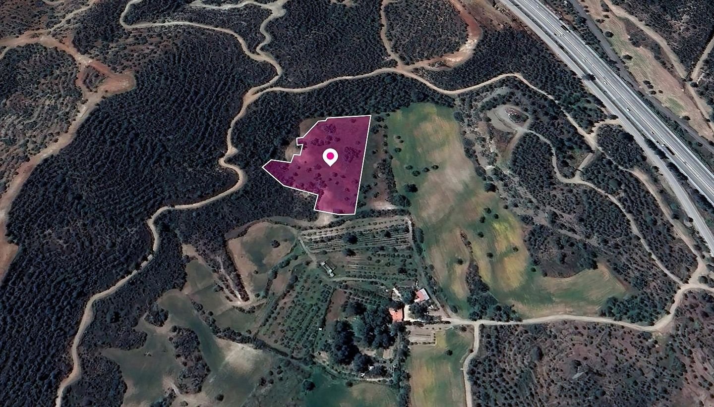 Special Protection Field, Kofinou photo 3