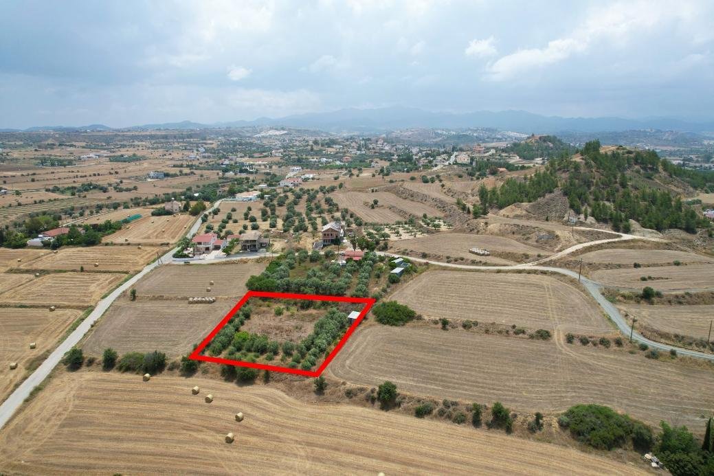 Residential field in Pera, Nicosia photo 4