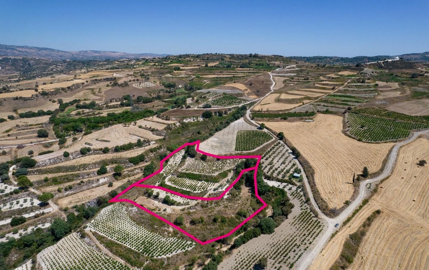 Two Agricultural Fields, Stroumbi, Paphos photo 5