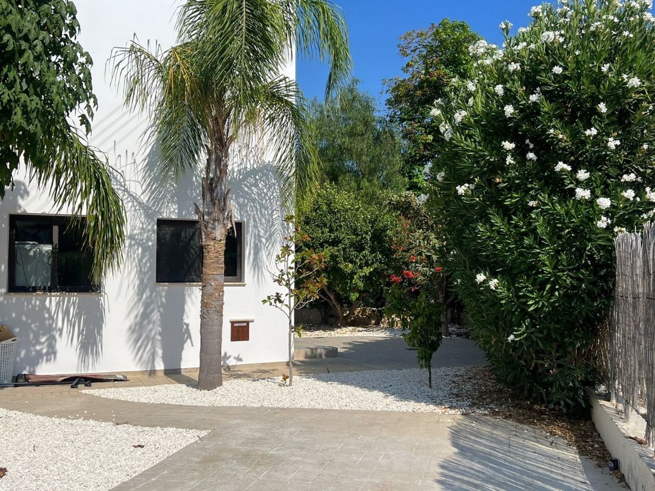 4+1 BR Villa in Kouklia, Paphos photo 19