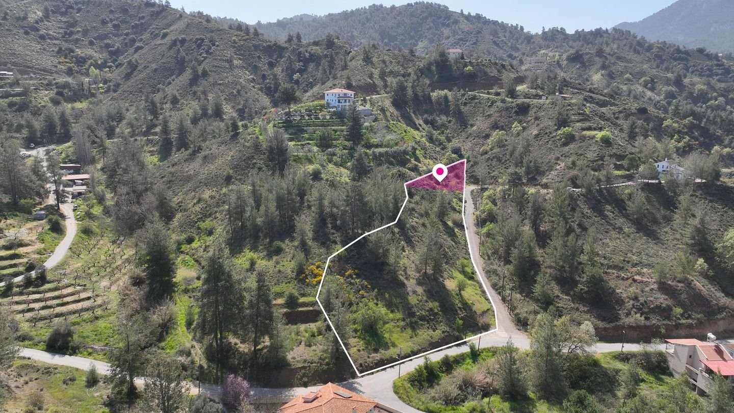 17% Distributed Share of a residential field,in Kakopetria, Nicosia photo 2