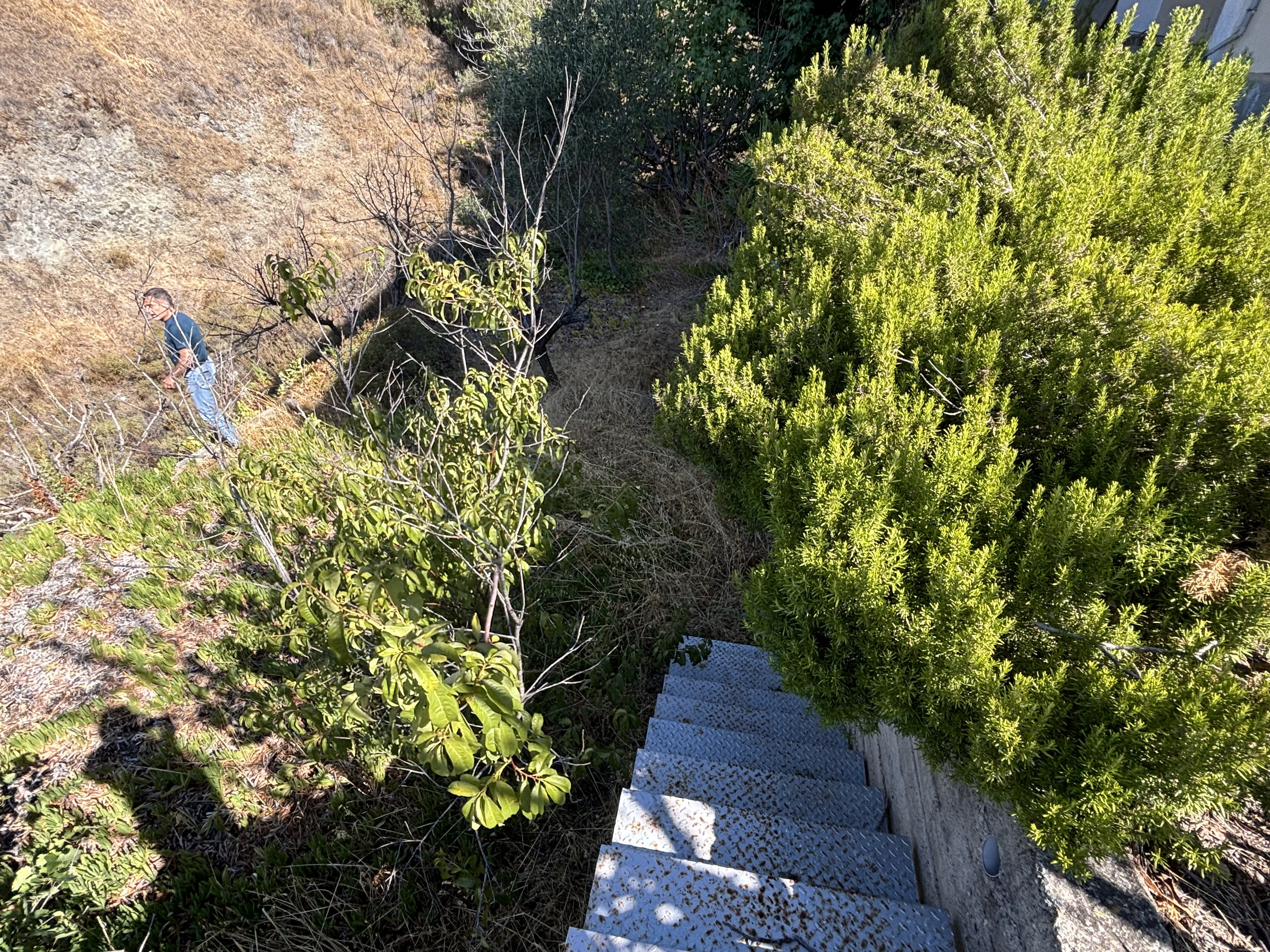 3 BR House in Pera Pedi, Limassol photo 30