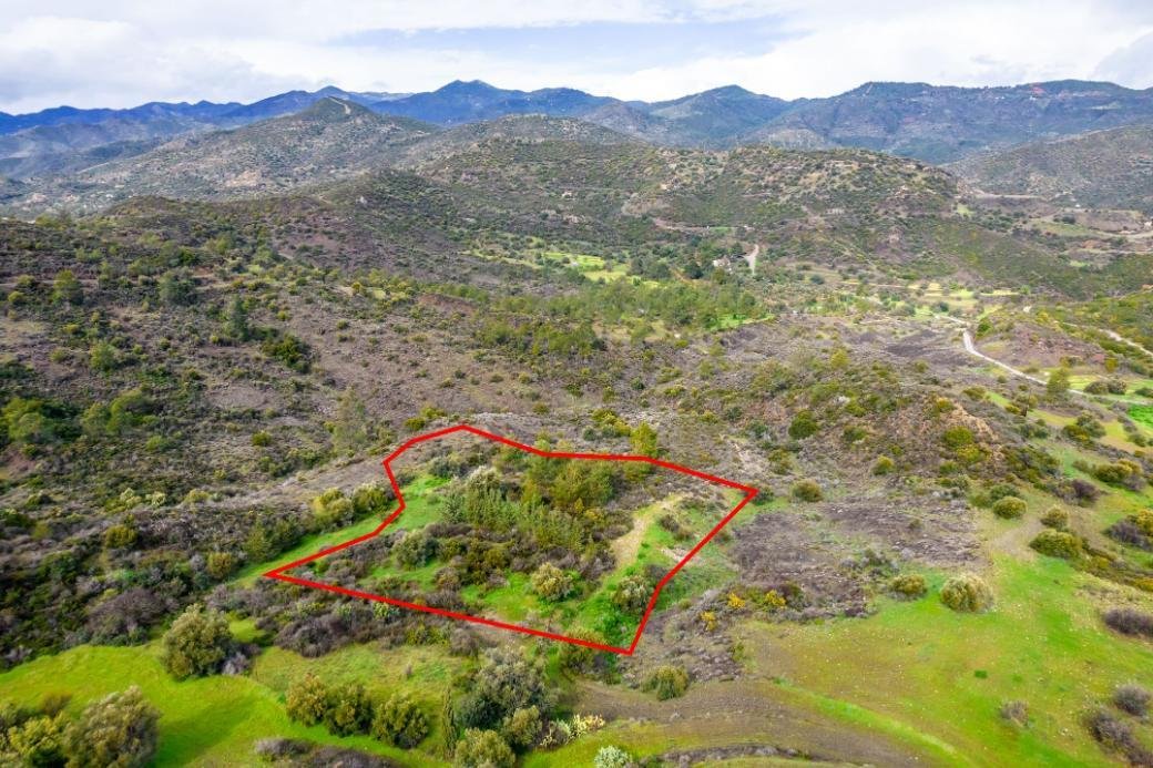 Shared agricultural field in Vavla, Larnaca photo 2