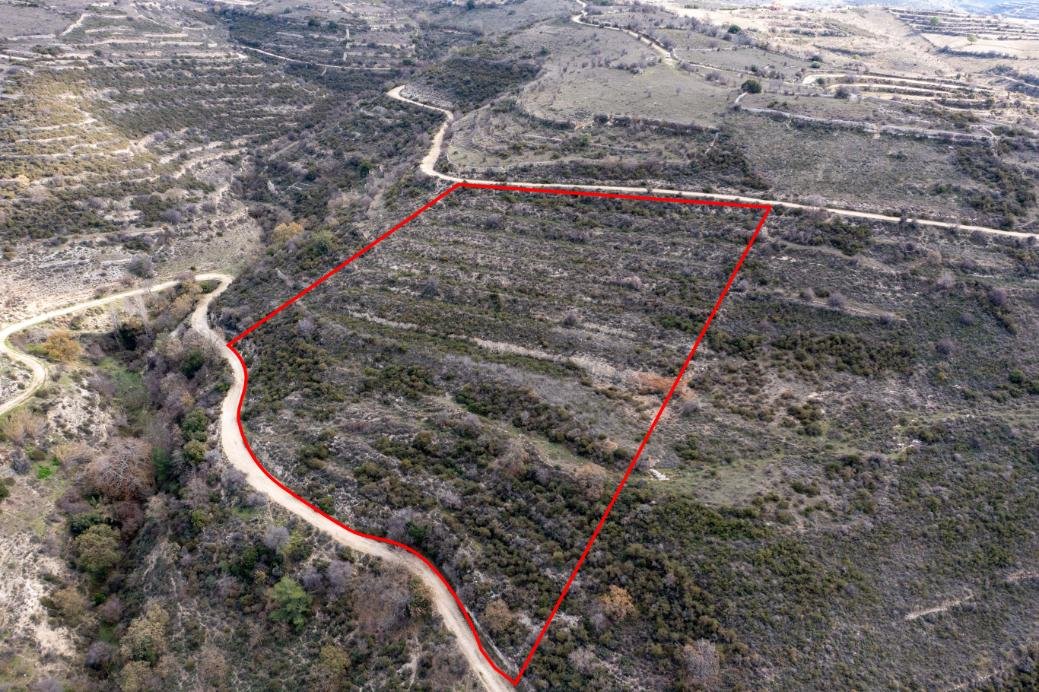 Field in Arsos, Limassol photo 3