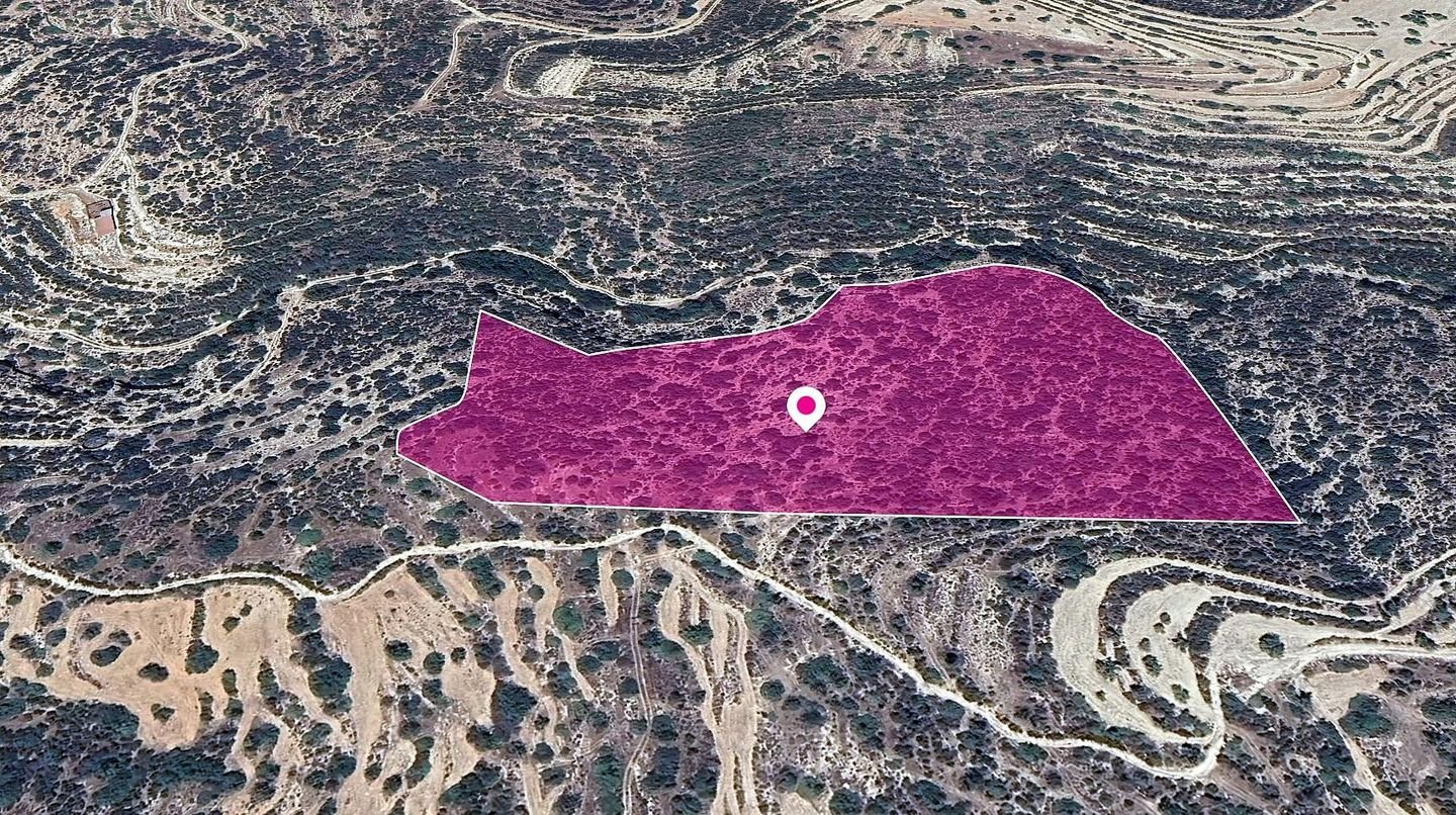 Field in Apesia Community, Limassol photo 2