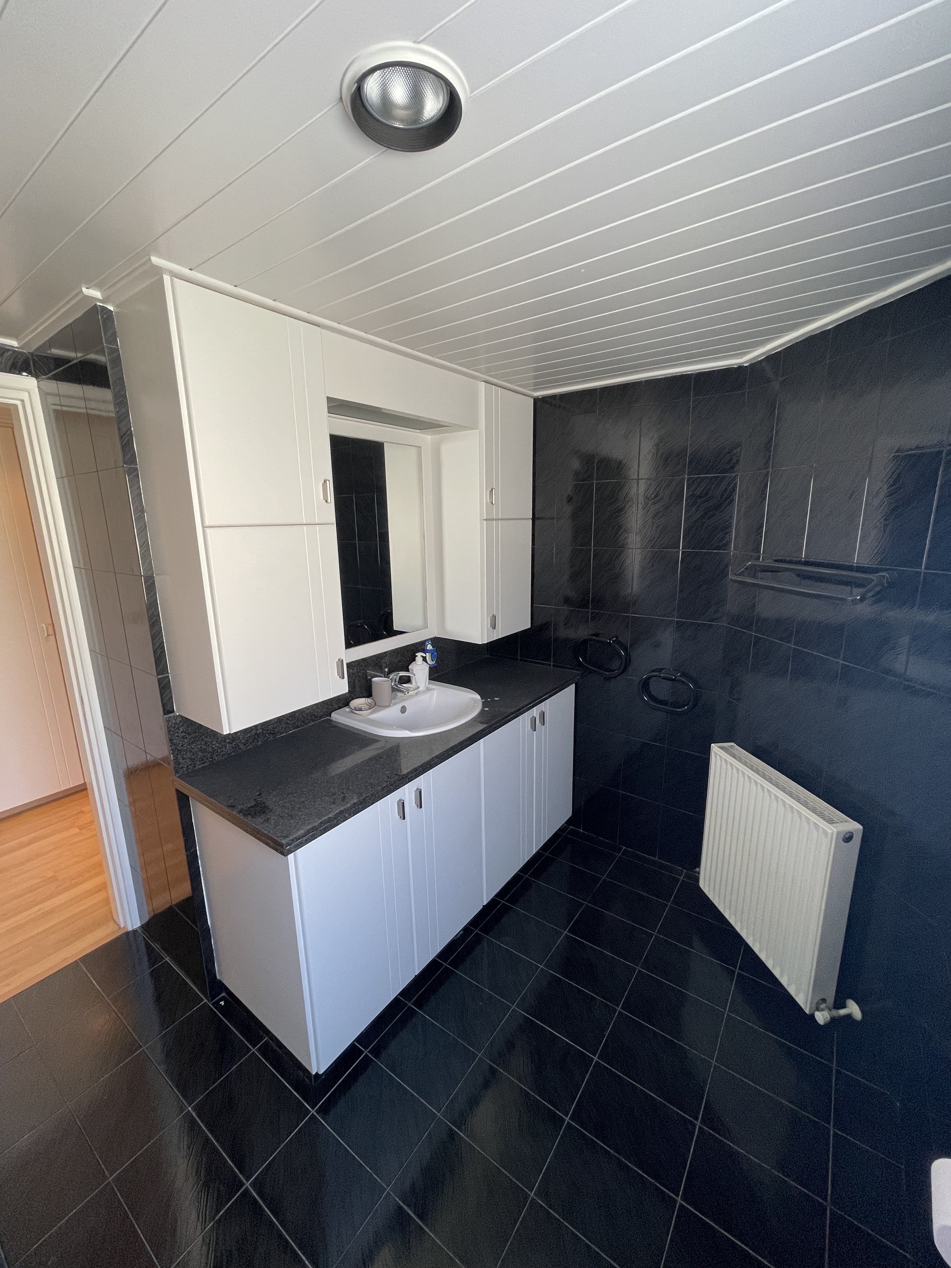 3BR villa in Nicosia photo 13