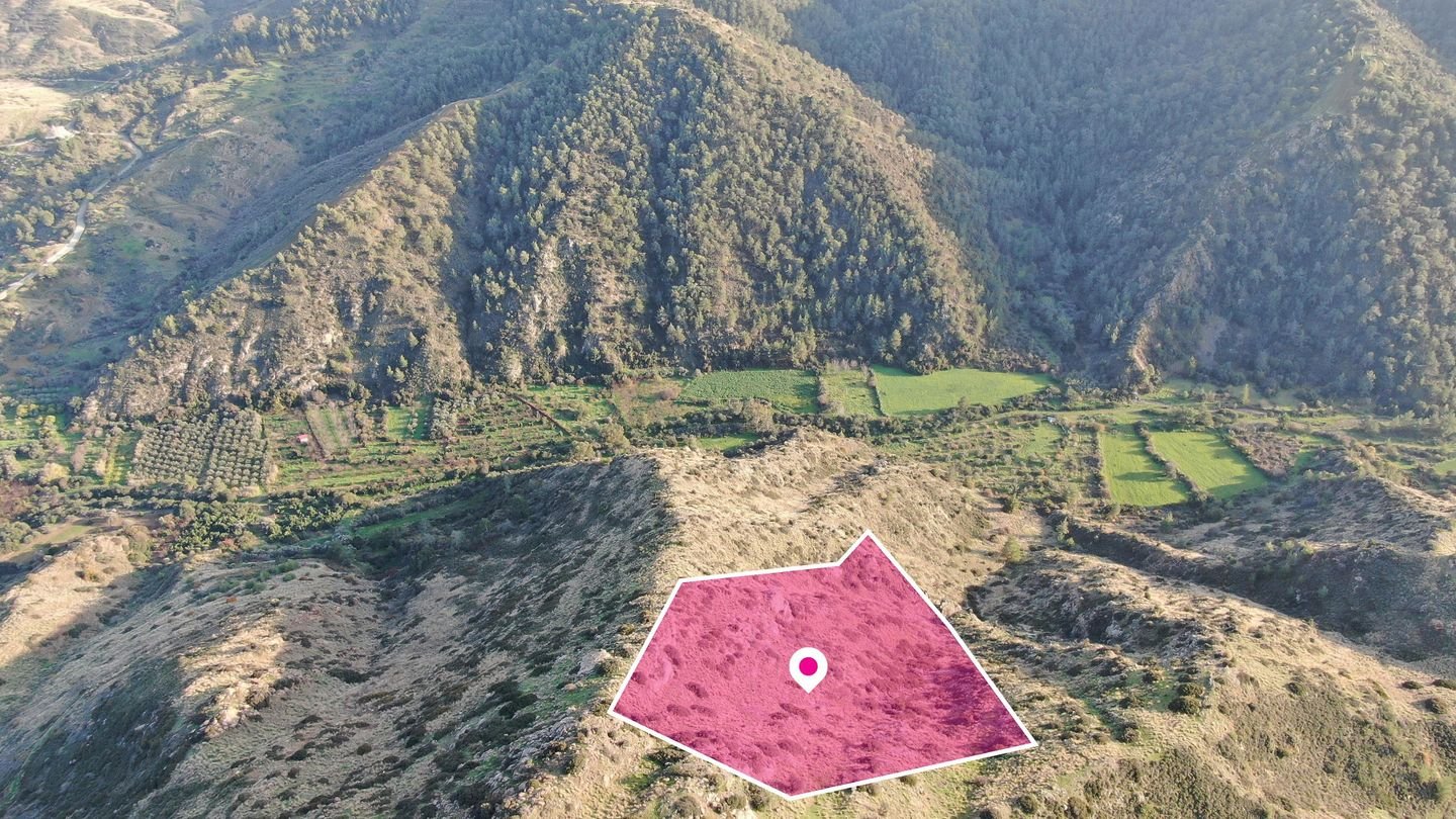 Agricultural field located in Pigenia, Nicosia photo 2