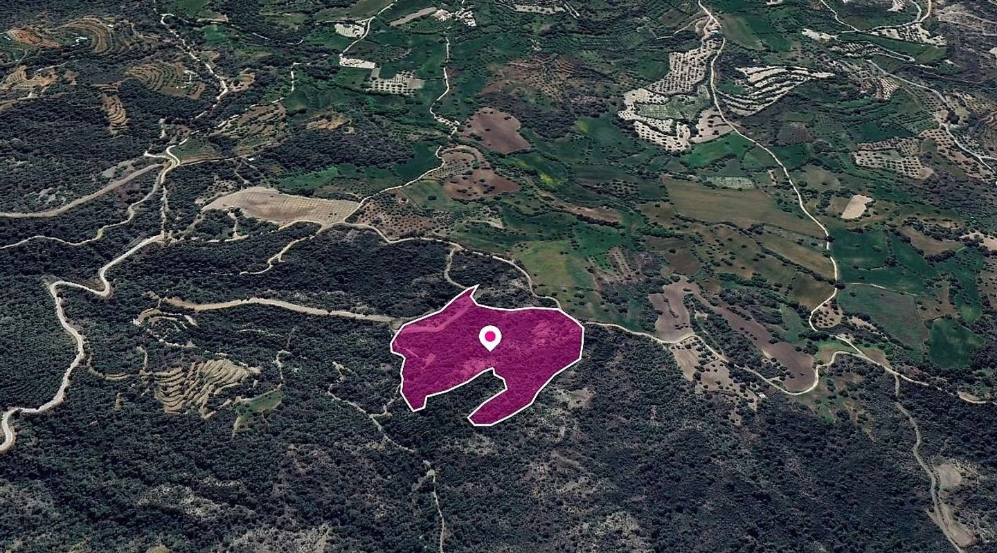 (Share) Agricultural Field, Lysos, Paphos photo 3