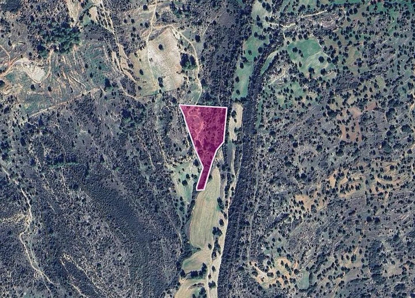 Field, Anogyra, Limassol photo 3