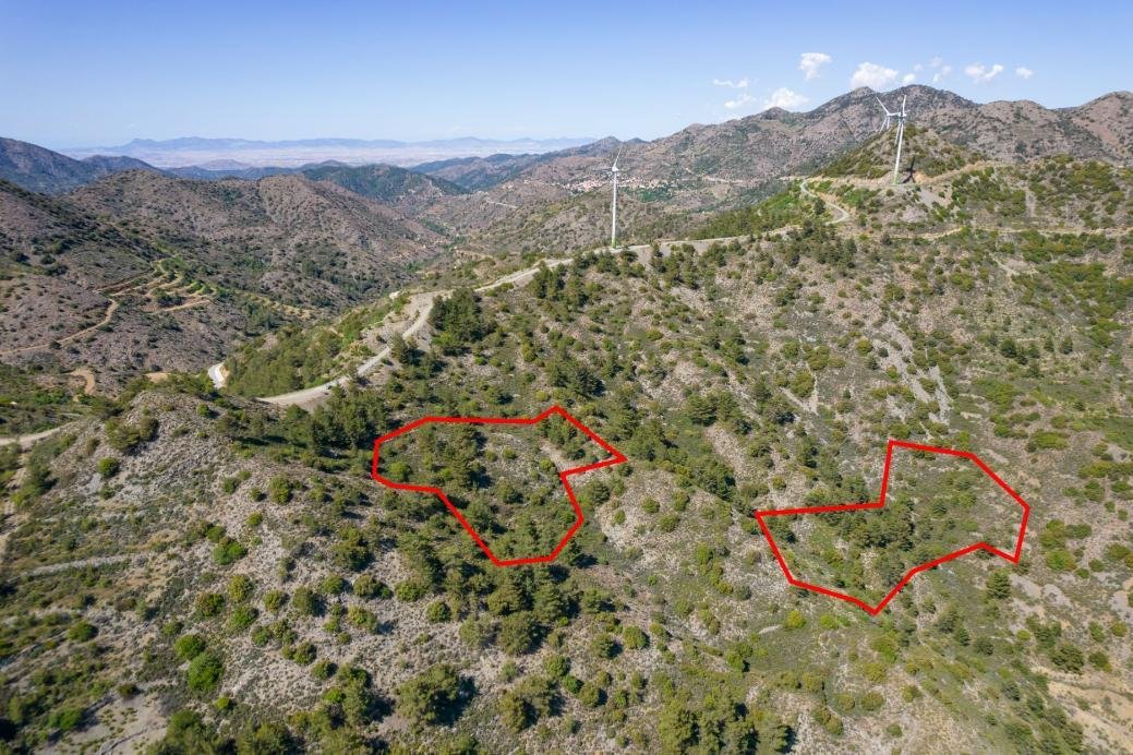 Five fields in Sykopetra, Limassol photo 8