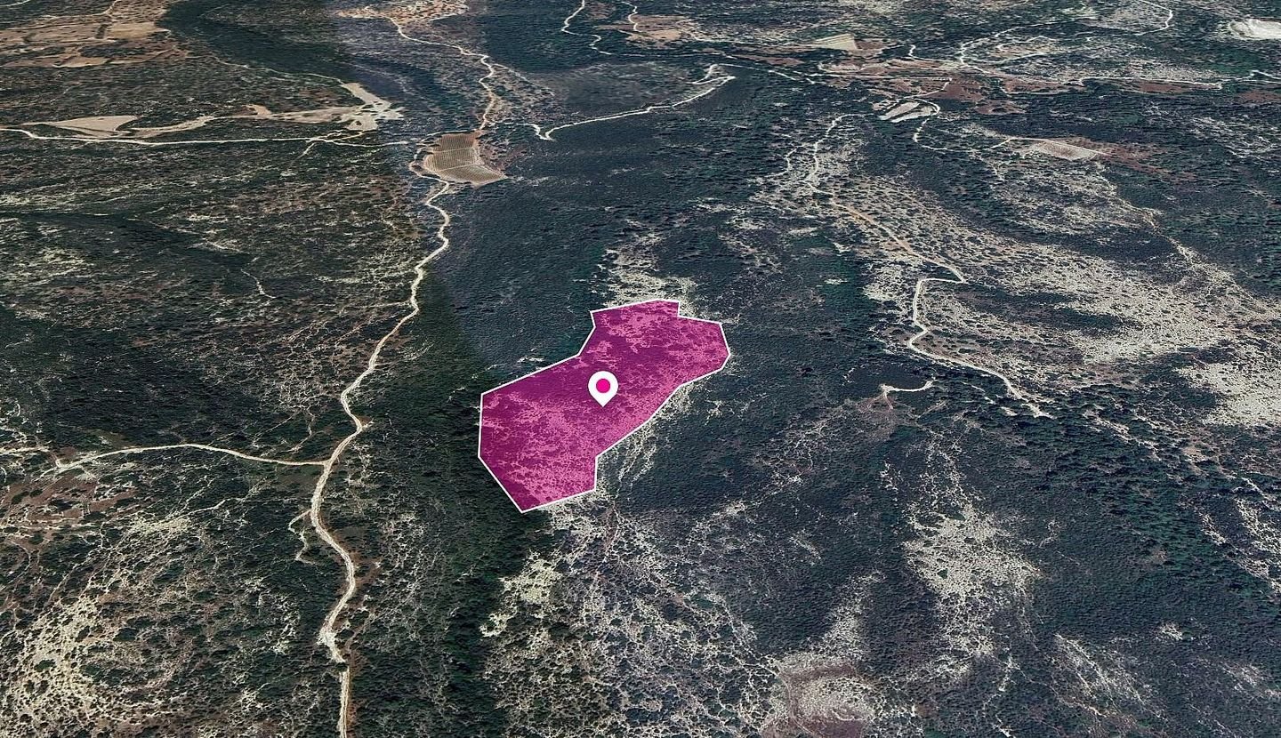 Field in Platanisteia Community, Limassol photo 3