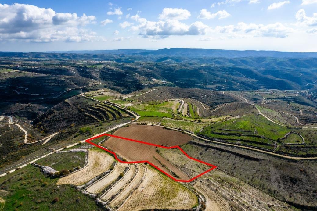 Field in Arsos, Limassol photo 3