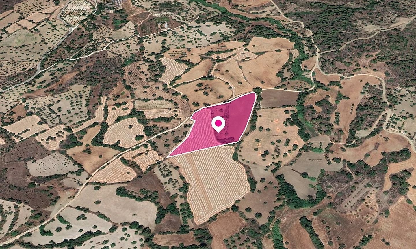 (Share) Agricultural Field, Lysos, Paphos photo 2