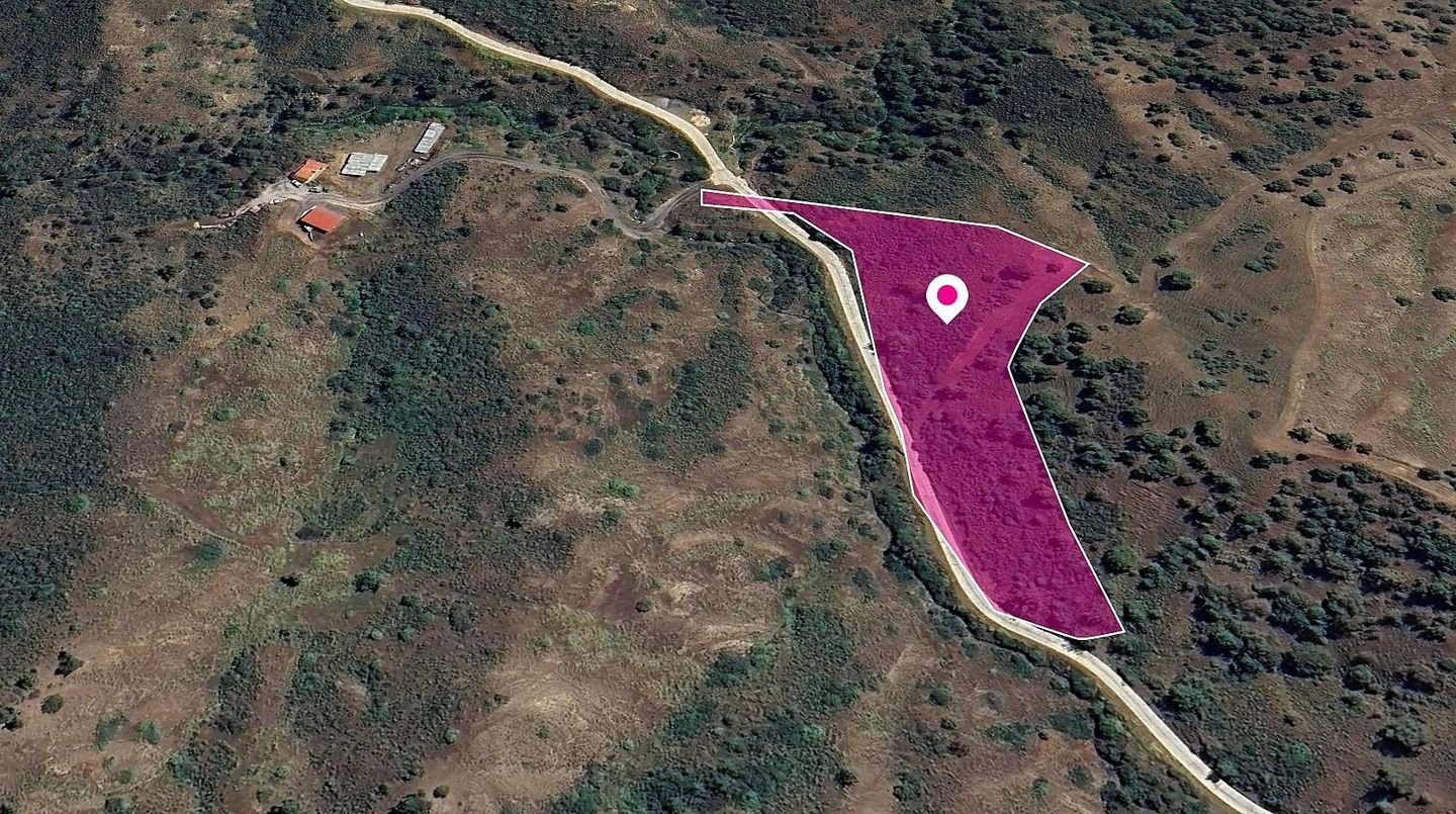 (Share) Agricultural Field in Pano Pyrgos, Nicosia photo 3