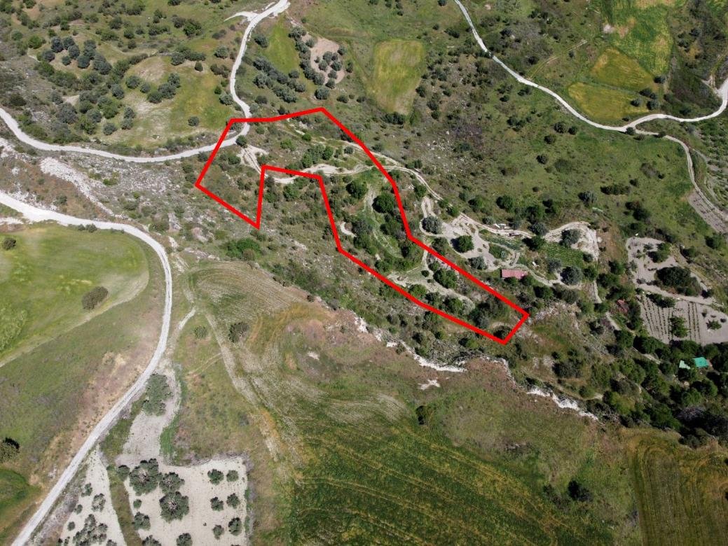 Two shared agricultural fields in Lasa, Paphos photo 1