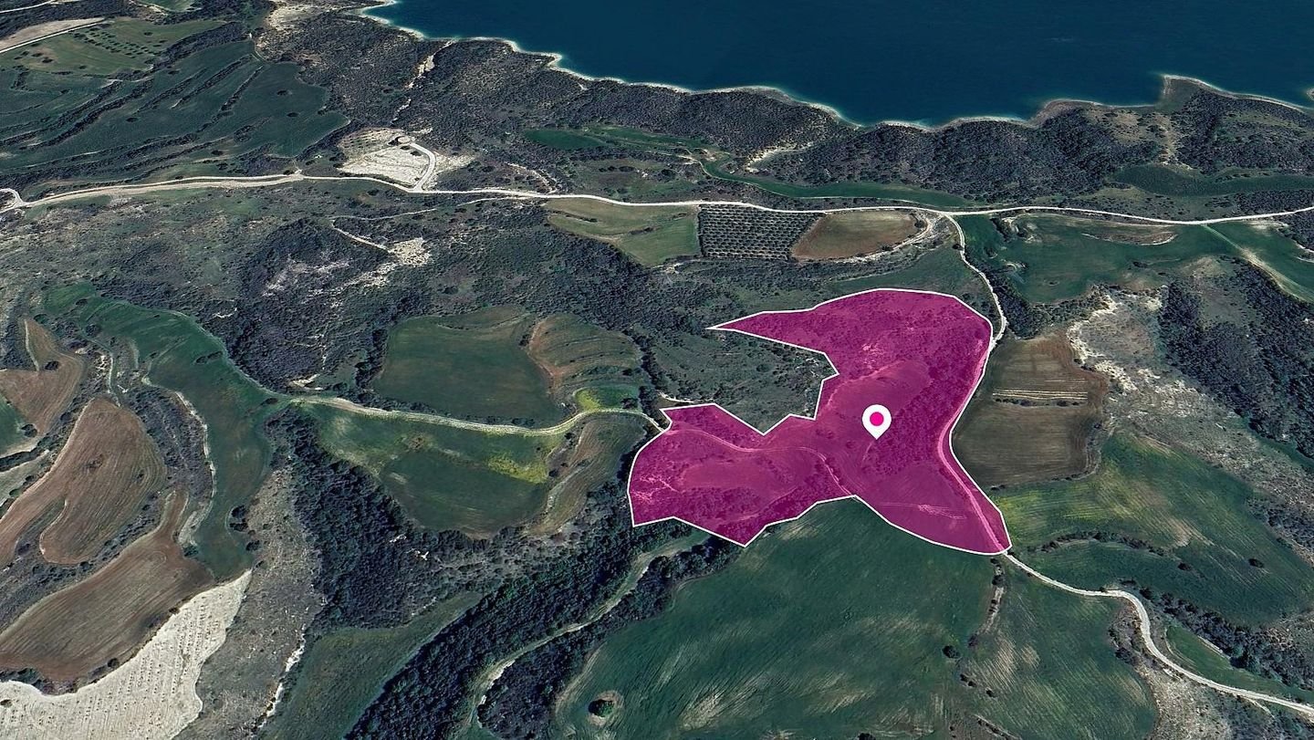 Field in Kato Akourdaleia, Paphos photo 2