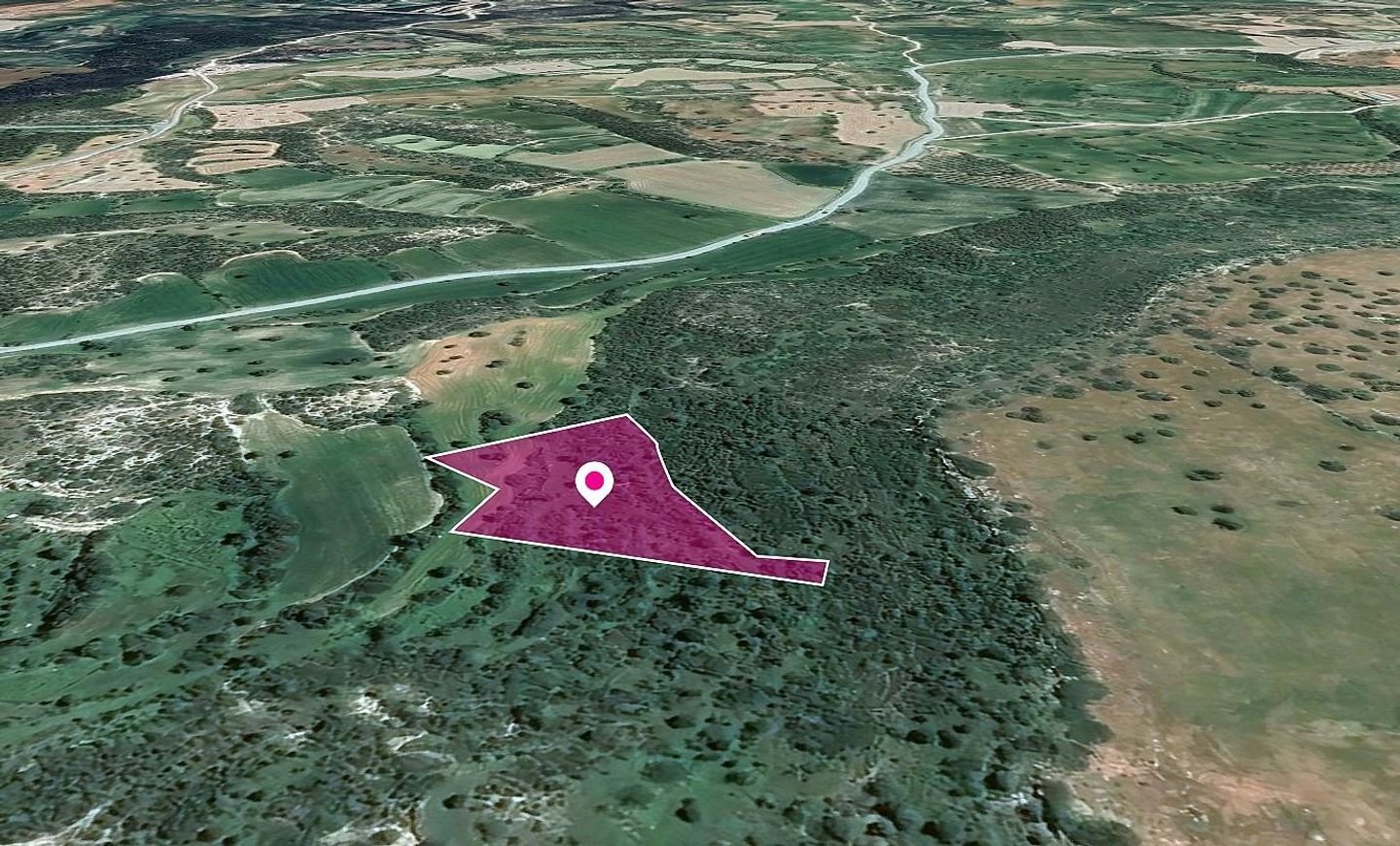 Field in Agios Theodoros, Larnaca photo 2