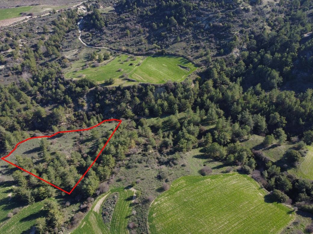 Field in Mousere, Paphos photo 2