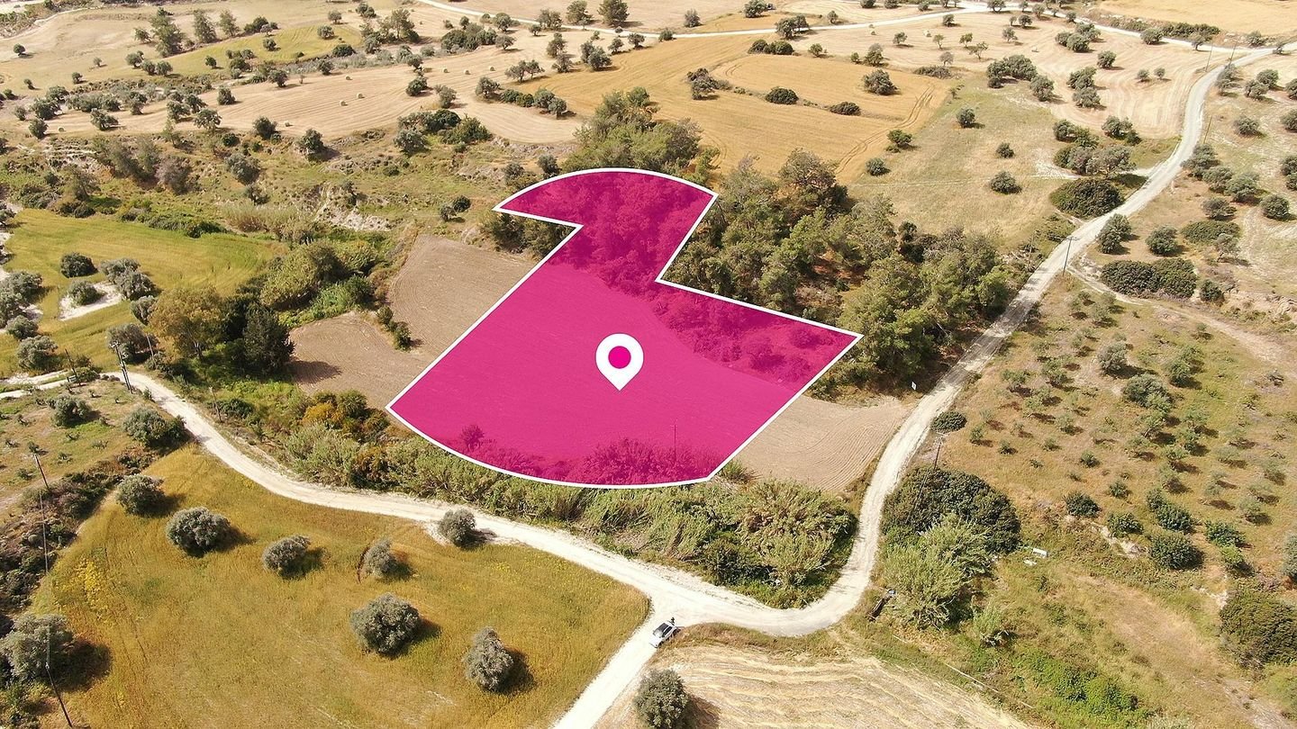 Field in Anglisides, Larnaca photo 3