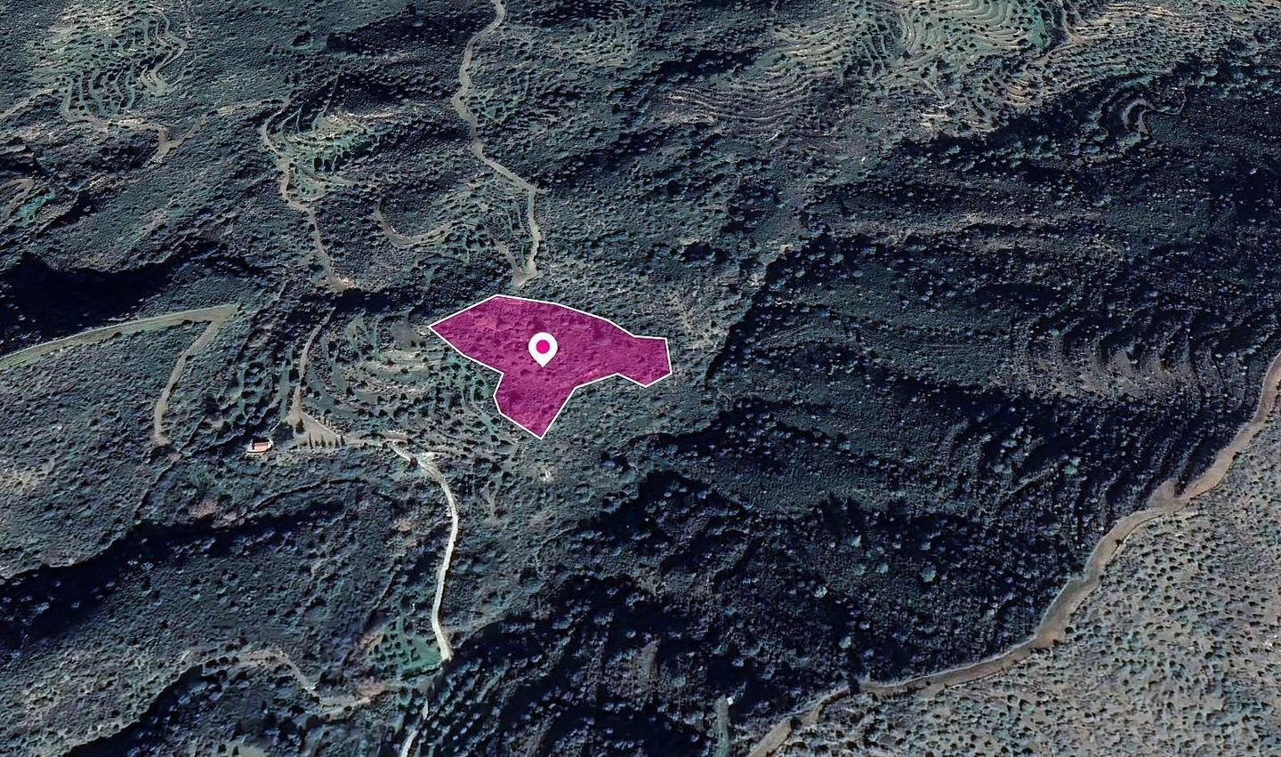 Field in Vavla, Larnaca photo 2