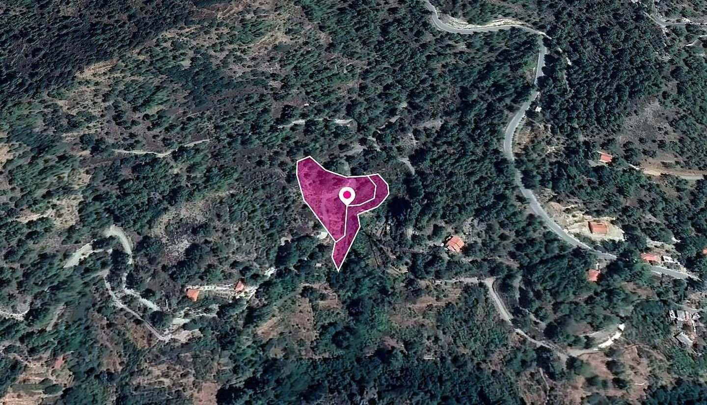 Shared Fields, Palaiomylos, Limassol photo 2