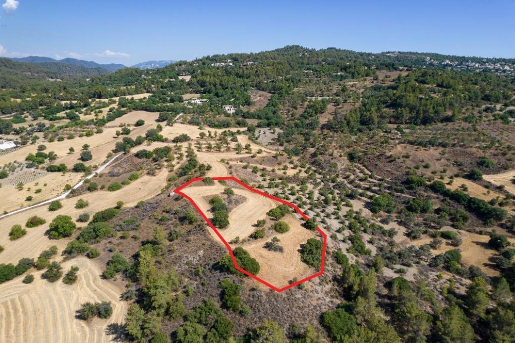 Shared agricultural field in Lysos, Paphos photo 4
