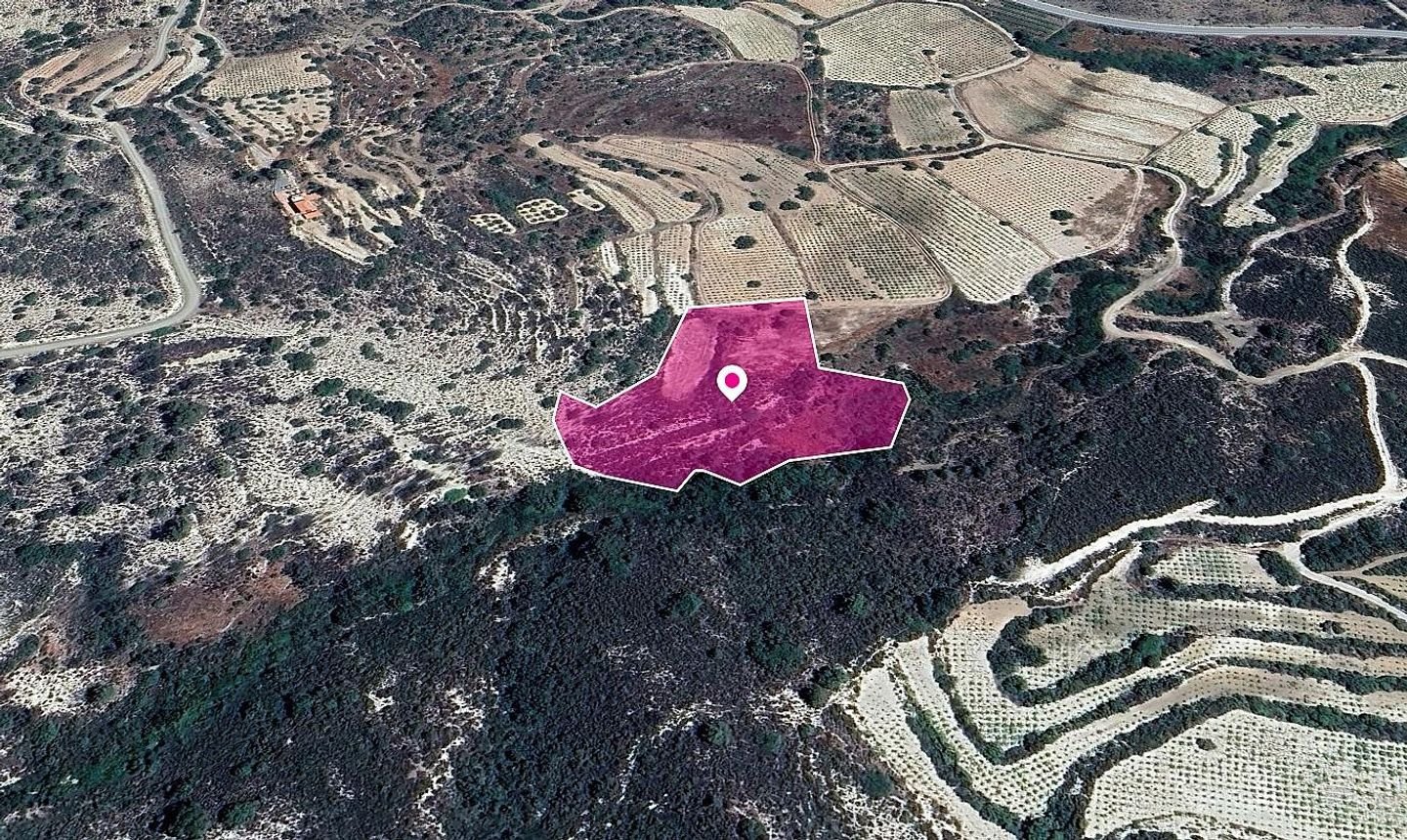 Residential field in Agios Mamas Community, Limassol photo 3