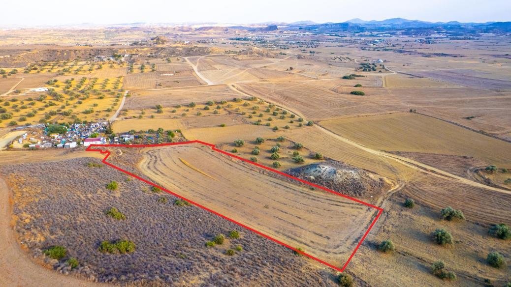 Shared agricultural field in Tseri, Nicosia photo 3
