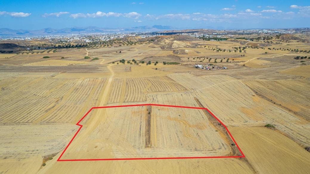 Shared agricultural field in Pera, Nicosia photo 3