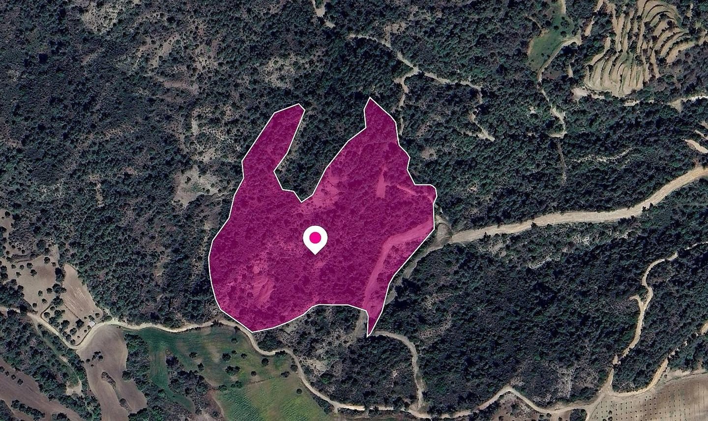 (Share) Agricultural Field, Lysos, Paphos photo 2