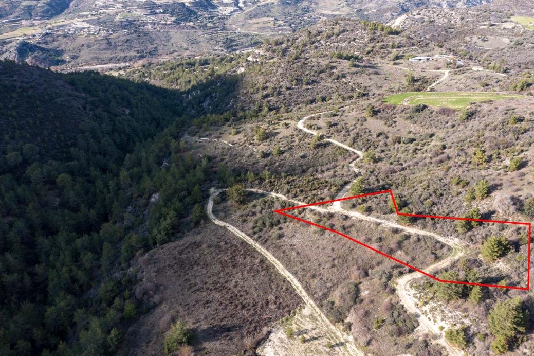 Field in Dora, Limassol photo 2