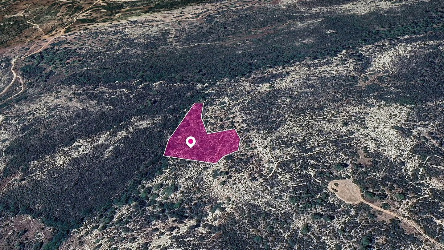 Field, Anogyra, Limassol photo 2