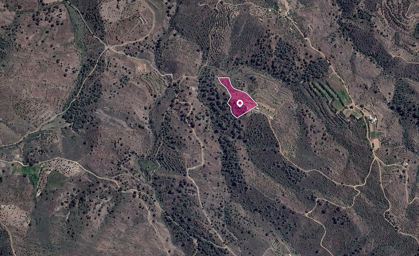 Agricultural field, Platanistasa photo 3