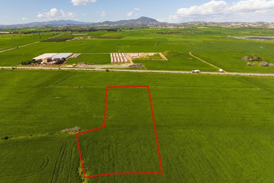 Agricultural field in Softades, Larnaca photo 4